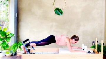 Day 19: Push ups, Pull ups workout, Monkeying Around on the Reformer with Gone Adventuring