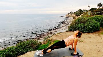 Day 19: Triceps and Shoulders workout, a Monkey's Business by Gone Adventuring