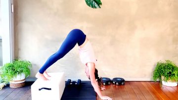 Day 26: Best Plank Upper Body workout for women at home by Gone Adventuring