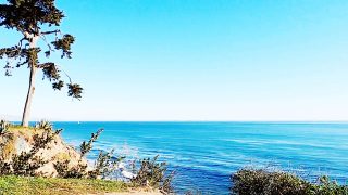 Strength Training for Fat Loss 30 Day program