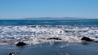 Anti-Aging Movement by Gone Adventuring