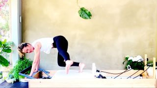 How to get Flat Abs? Zip it up and Lift, lift, lift! Day 2 by Gone Adventuring